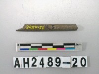 藏品(磨製石針)的圖片